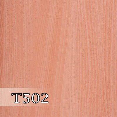 پدیده 502 برجسته T