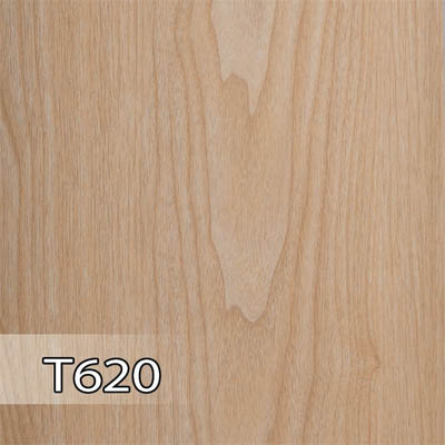 پدیده 620 برجسته T