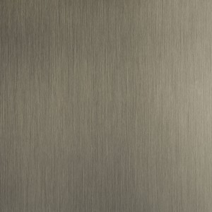 پانوتک 310 استیل DARK INOX STEEL