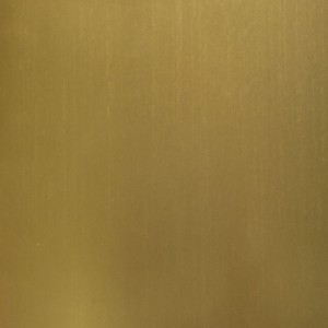 پانوتک 4002 استیل PICASSO GOLD