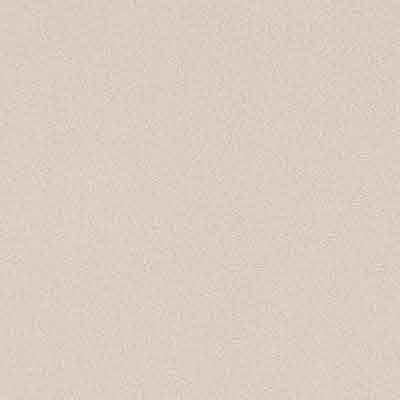 آسا 1003 براق کاپوچینو متالیک