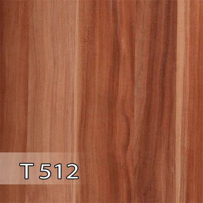 پدیده 512 برجسته T