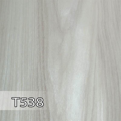 پدیده 538 برجسته T