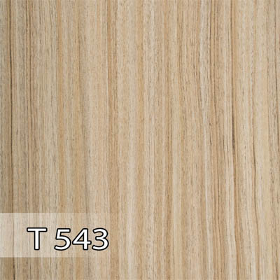 پدیده 543 برجسته T