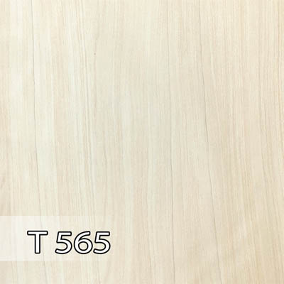 پدیده 565 برجسته T