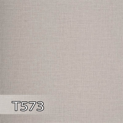 پدیده 573 برجسته T