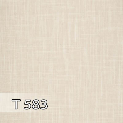 پدیده 583 برجسته T