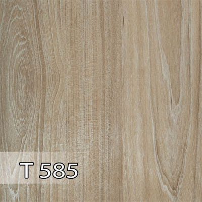 پدیده 585 برجسته T