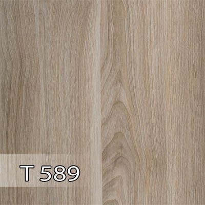 پدیده 589 برجسته T
