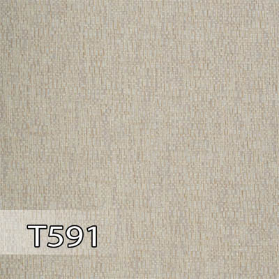 پدیده 591 برجسته T