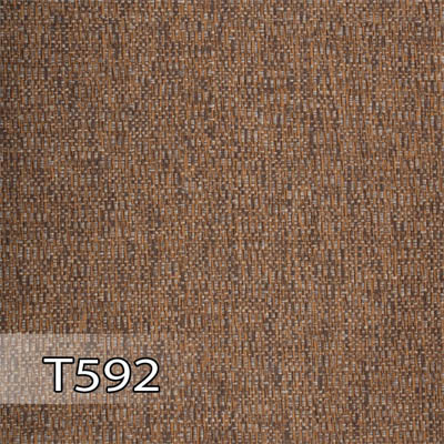 پدیده 592 برجسته T