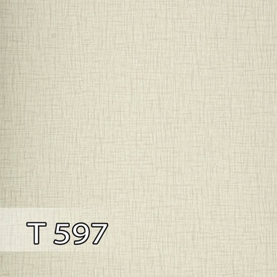 پدیده 597 برجسته T