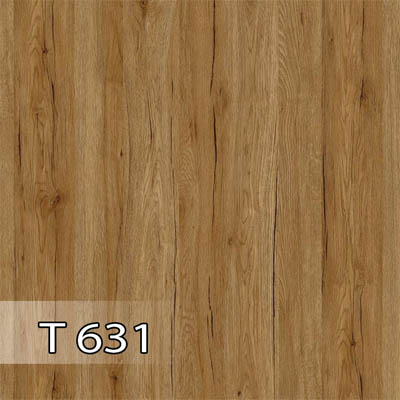 پدیده 631 برجسته T