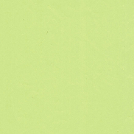 پاک چوب 1107 صابونی GRASS GREEN