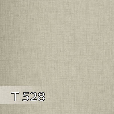 پدیده 528 برجسته T