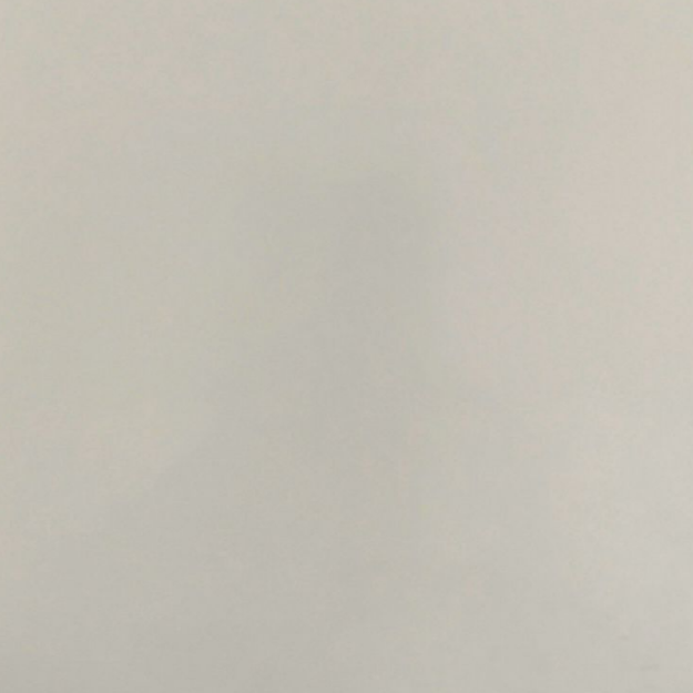 تیسان T318 سوپر مات