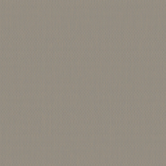 پاک چوب 7722 LIGHT CHINO