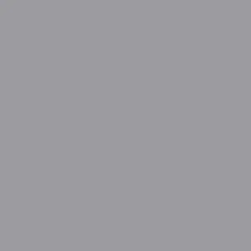 پاک چوب 2037 METALLIC SILVER