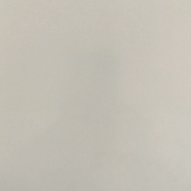 تیسان T323 سوپر مات