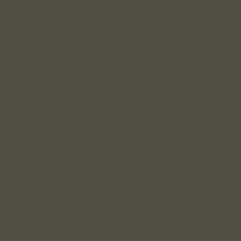 پاک چوب 304 هایگلاس AFP METALLIC BRONZE