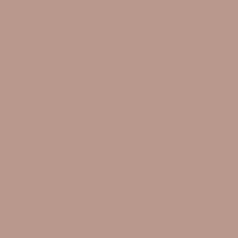 پاک چوب 310 هایگلاس AFP-SALMON PINK