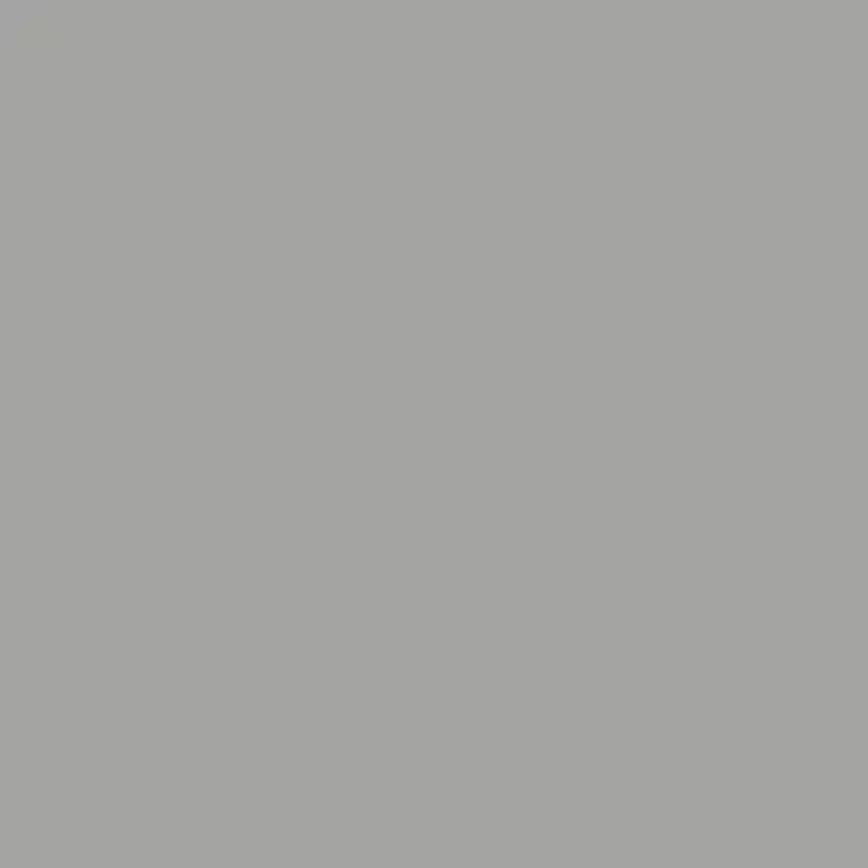 پاک چوب 1134 SHALE GREY