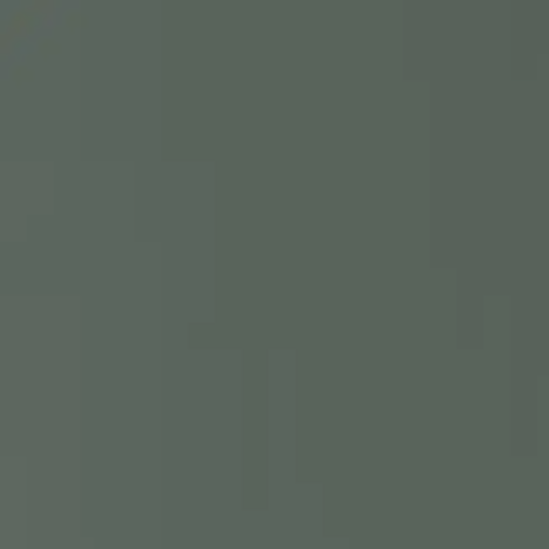 AGT 4027 مات پلاس FOREST GREEN