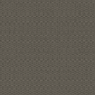 پاک چوب 7723 DARK CHINO