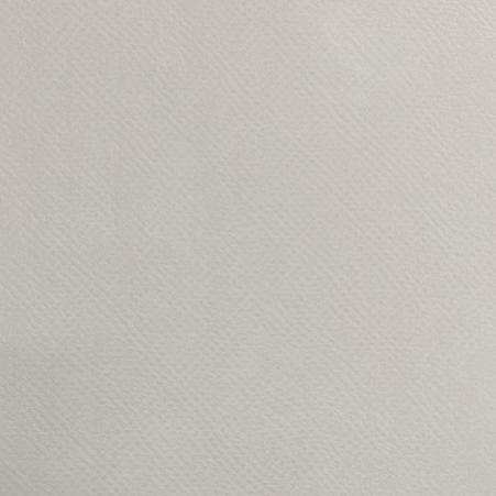 تیسان T252 سوپر مات