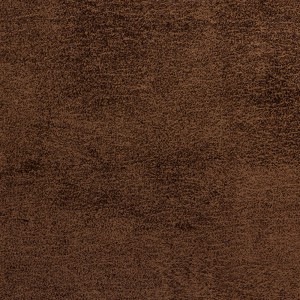 پانوتک 253