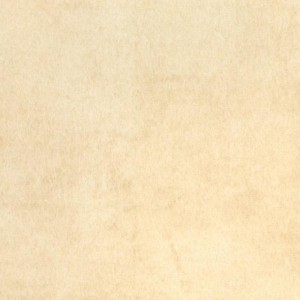 پانوتک 274