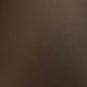 پانوتک 4003